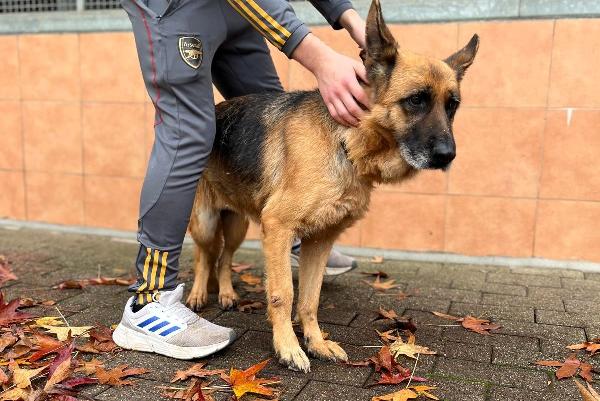 GIANNA PASTORE TEDESCO Foto 3